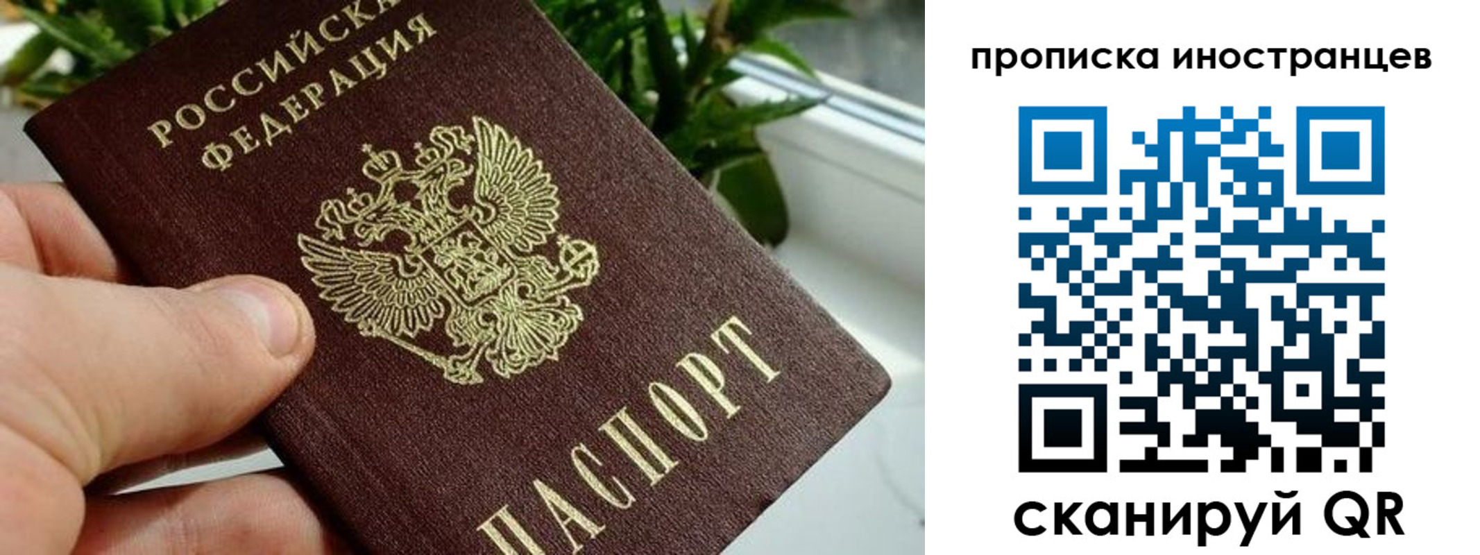 временная регистрация в Ряжске